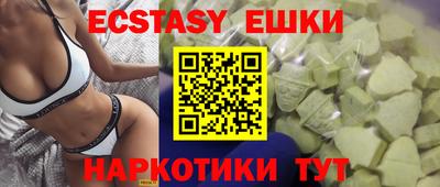 стаф Тула
