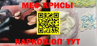 стаф Тула