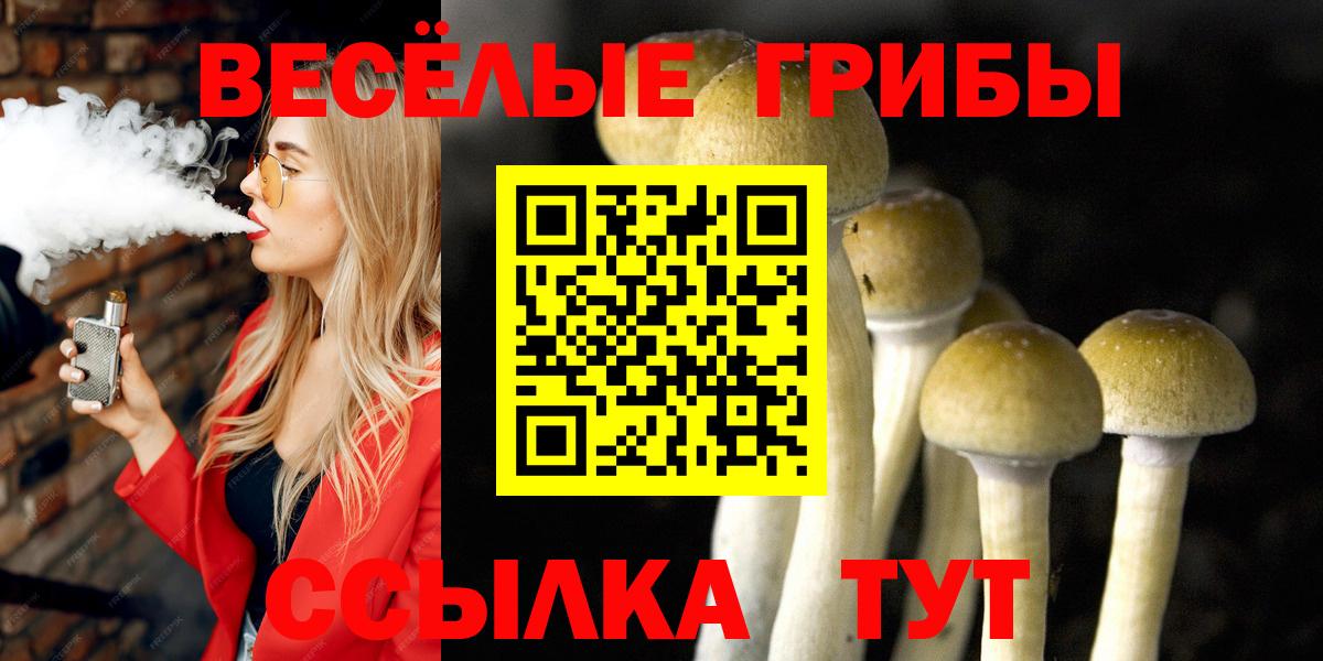 Галлюциногенные грибы Magic Shrooms Котлас